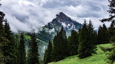 Mountains rocks spruce image 4k wallpaper