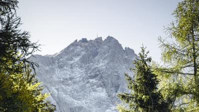 Mountains rocks spruce photo 4k wallpaper
