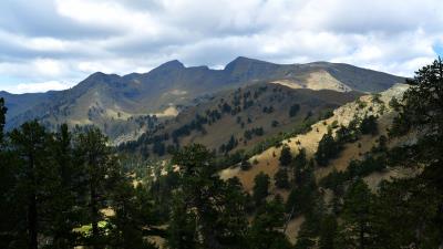 Mountains rocks spruce picture 4k wallpaper