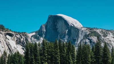 Mountains rocks spruce 4k wallpaper