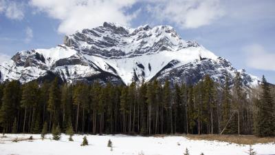 Mountain top trees 4k wallpaper