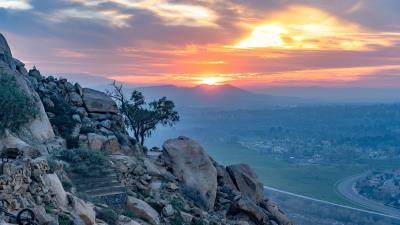 Mountain tree stones 4k wallpaper