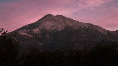 Mountain trees dusk 4k wallpaper