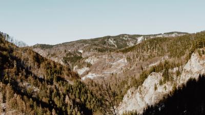 Mountains slopes trees 4k wallpaper