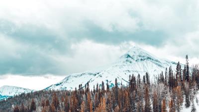 Mountains snow covered trees 4k wallpaper