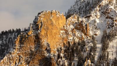 Mountains snow forest 4k wallpaper