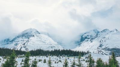 Mountains snow peaks trees fog 4k wallpaper