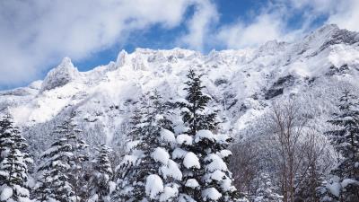 Mountains snow trees 4k wallpaper