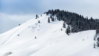 Mountains snow winter trees top 4k wallpaper