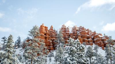 Mountains snow winter trees 4k wallpaper