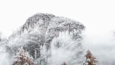 Mountains spruce snow 4k wallpaper