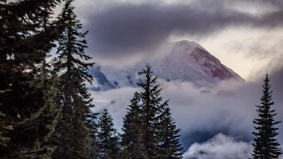 Mountains spruce trees image 4k wallpaper