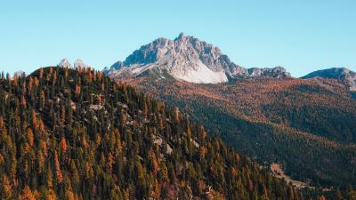 Mountains trees autumn 4k wallpaper