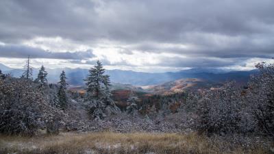 Mountains trees bushes image 4k wallpaper