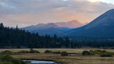 Mountains trees bushes 4k wallpaper