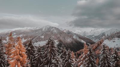 Mountains trees clouds picture 4k wallpaper