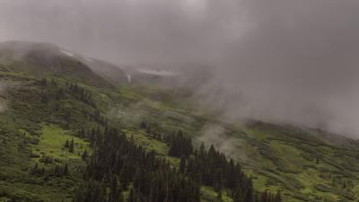 Mountains trees fog image 4k wallpaper