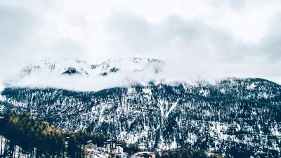 Mountains trees fog snow 4k wallpaper