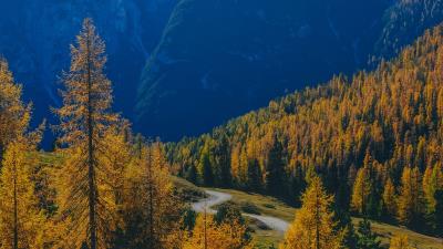 Mountains trees fog 4k wallpaper