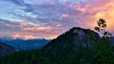 Mountains trees forest 4k wallpaper