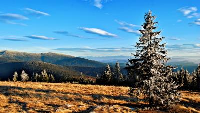 Mountains trees grass autumn sky 4k wallpaper