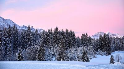 Mountains trees pink 4k wallpaper
