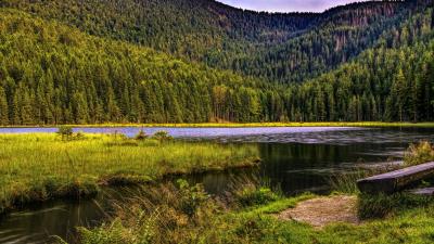 Mountains trees river grass 4k wallpaper