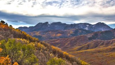 Mountains trees slope 4k wallpaper