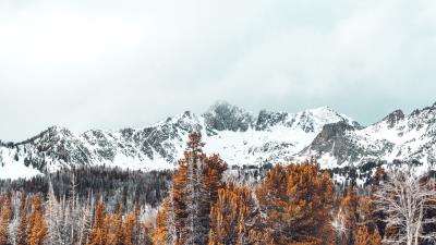 Mountains trees snow covered peaks 4k wallpaper