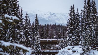 Mountains trees snow image 4k wallpaper