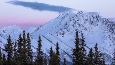 Mountains trees snow picture 4k wallpaper