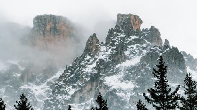 Mountains trees snow wall 4k wallpaper