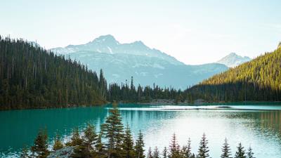 Mountains trees spruce image 4k wallpaper