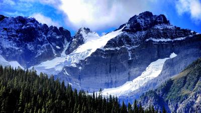 Mountains trees spruce picture 4k wallpaper
