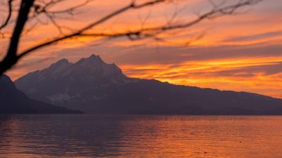 Mountains water branches 4k wallpaper