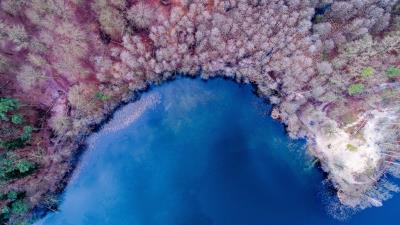 Nature background color lake forest colorful bk 4k wallpaper