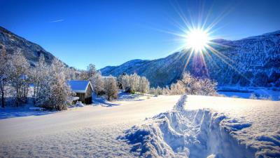 Nature forest dawn winter mountains 4k wallpaper