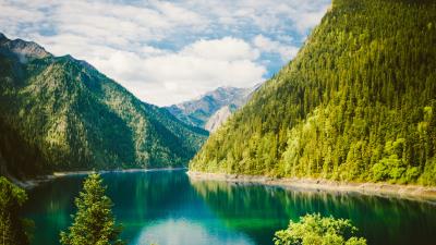 Nature lake forest 4k wallpaper