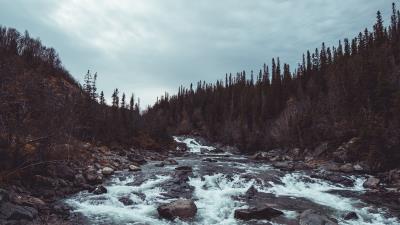 Nature stream river 4k wallpaper