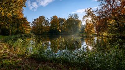 Netherlands de haar castle park pond trees summer 4k wallpaper