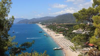 Ocean beach trees house 4k wallpaper