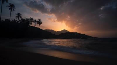 Ocean palm trees sunset 4k wallpaper