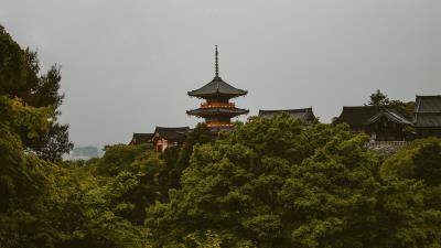 Pagoda trees architecture 4k wallpaper