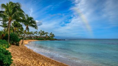 Palm coast beach 4k wallpaper