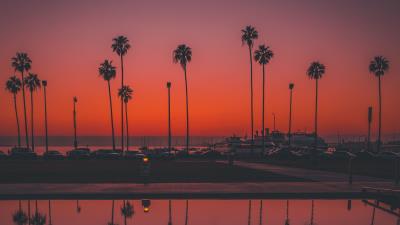 Palms sunset san diego 4k wallpaper