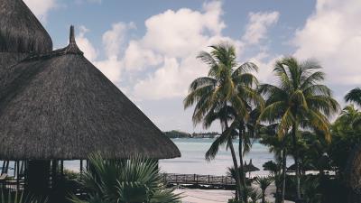 Palm tree pool vacation 4k wallpaper