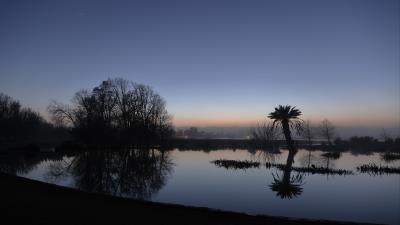 Palm tree sunset water 4k wallpaper