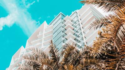 Palm trees building tropics 4k wallpaper