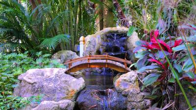 Palm trees rocks plants waterfall bridge interior 4k wallpaper