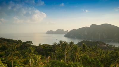 Palm trees rocks 4k wallpaper